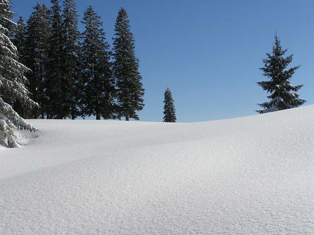 Winterlandschaft beim Schneeschuhwandern.jpg